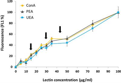 Density of Compatible Ligands on the Surface of Food Particles Modulates Sorting Efficiency in the Blue Mussel Mytilus edulis